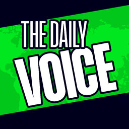 Market Pulse: The Daily Voice
