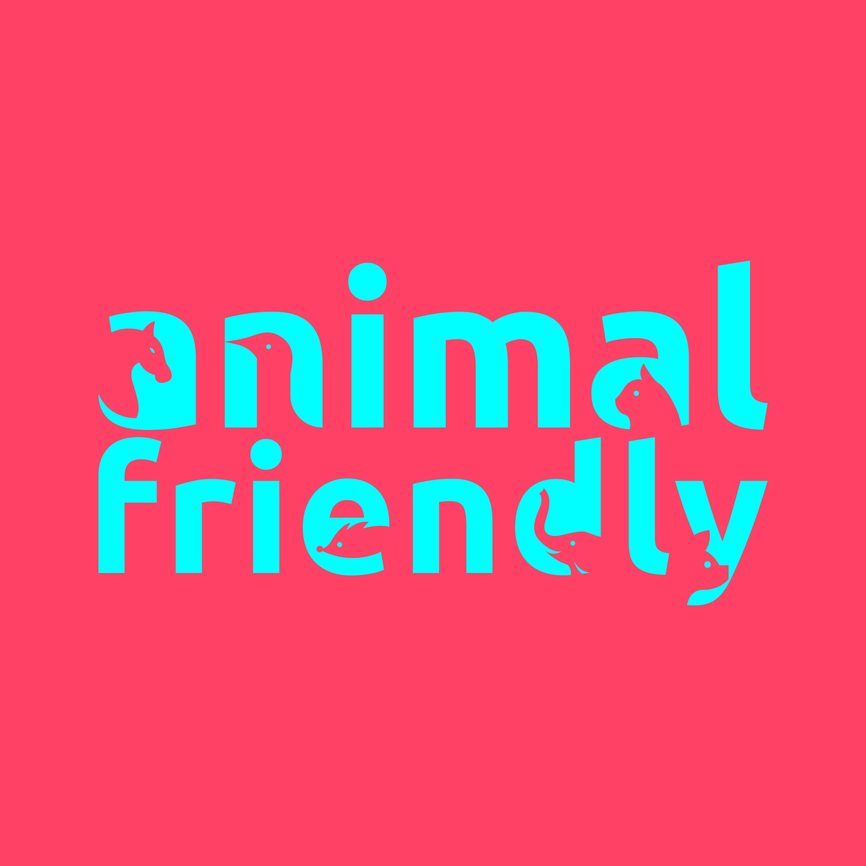 Animal Friendly