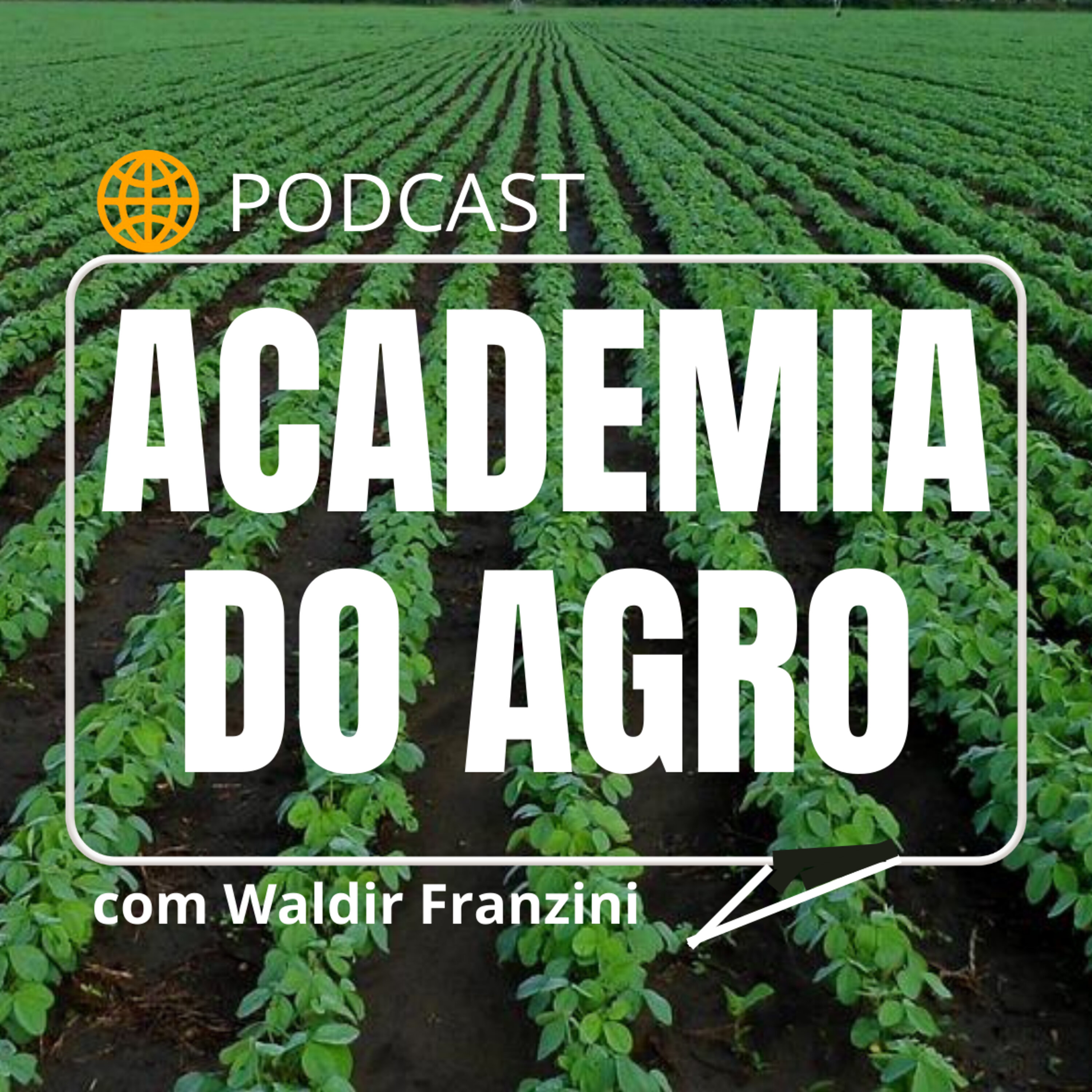 ACADEMIA DO AGRO