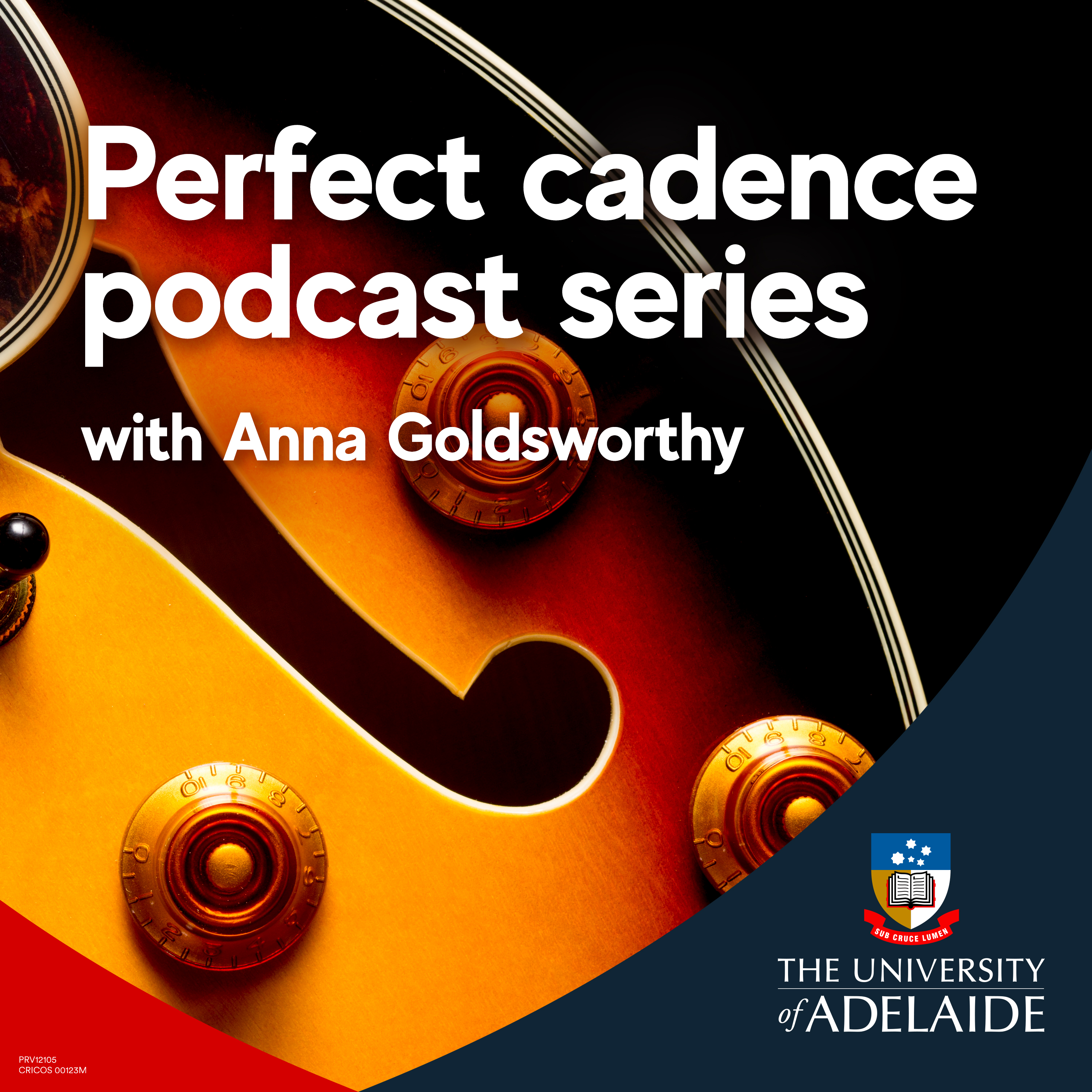Perfect Cadence Podcast Series