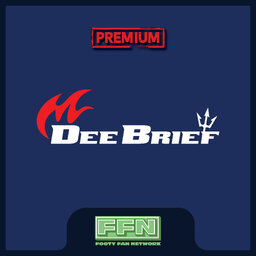 The DeeBrief Premium