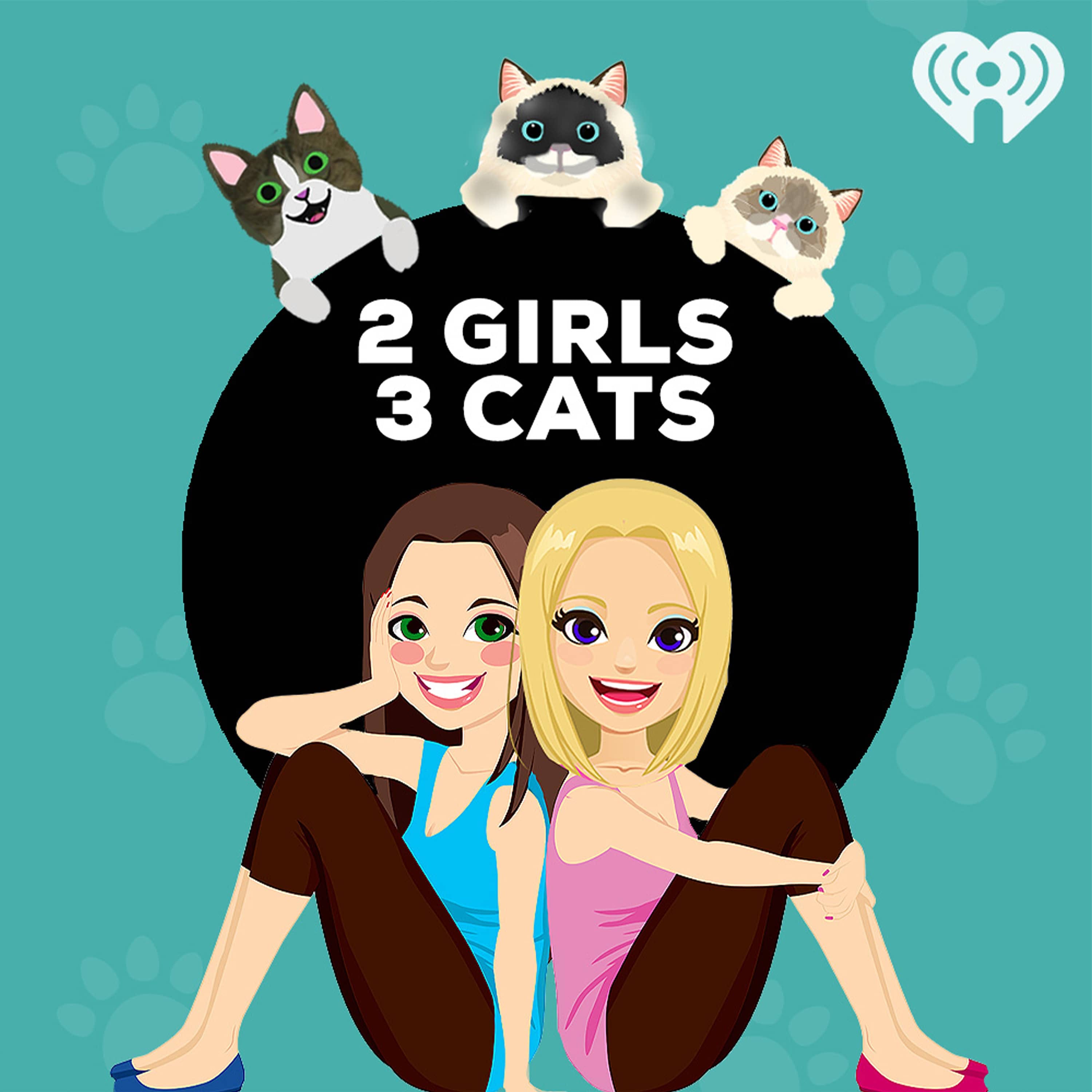 2 Girls 3 Cats