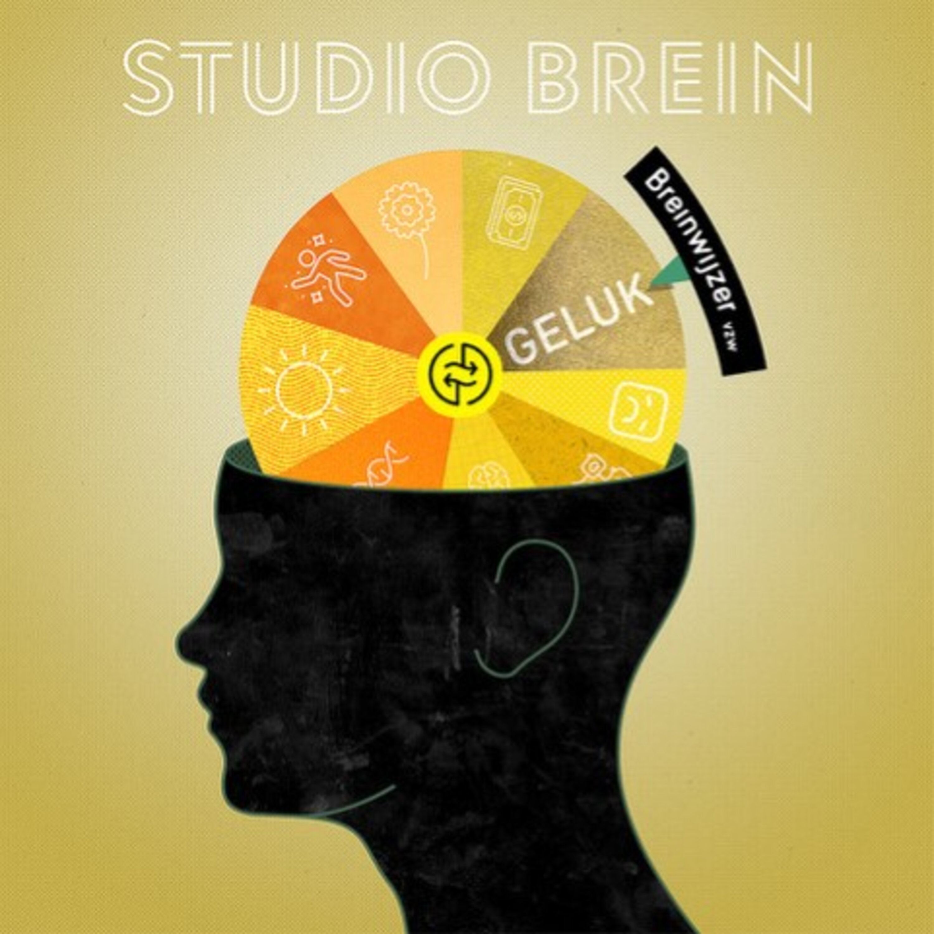 Artwork for Studio Brein
