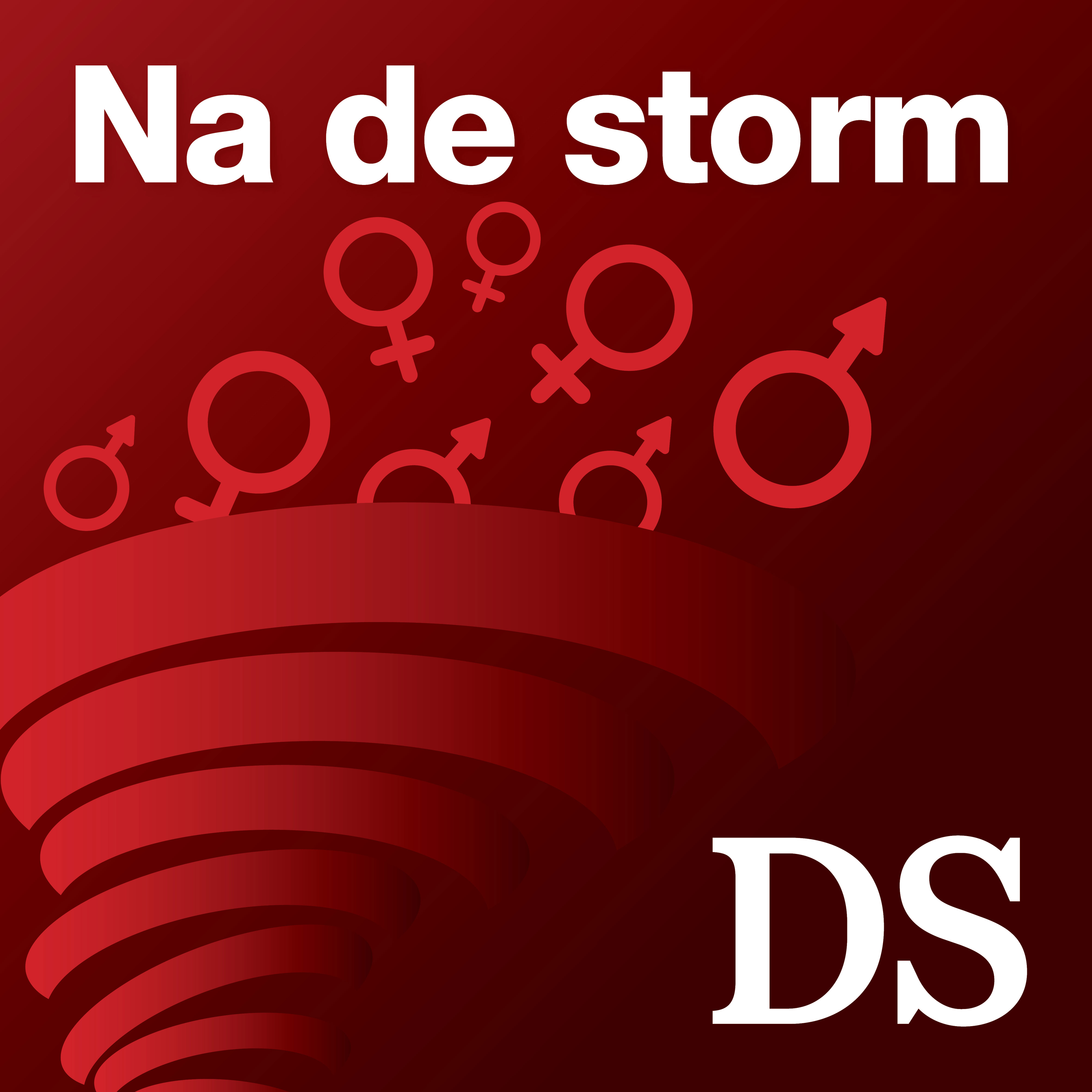 Na de storm