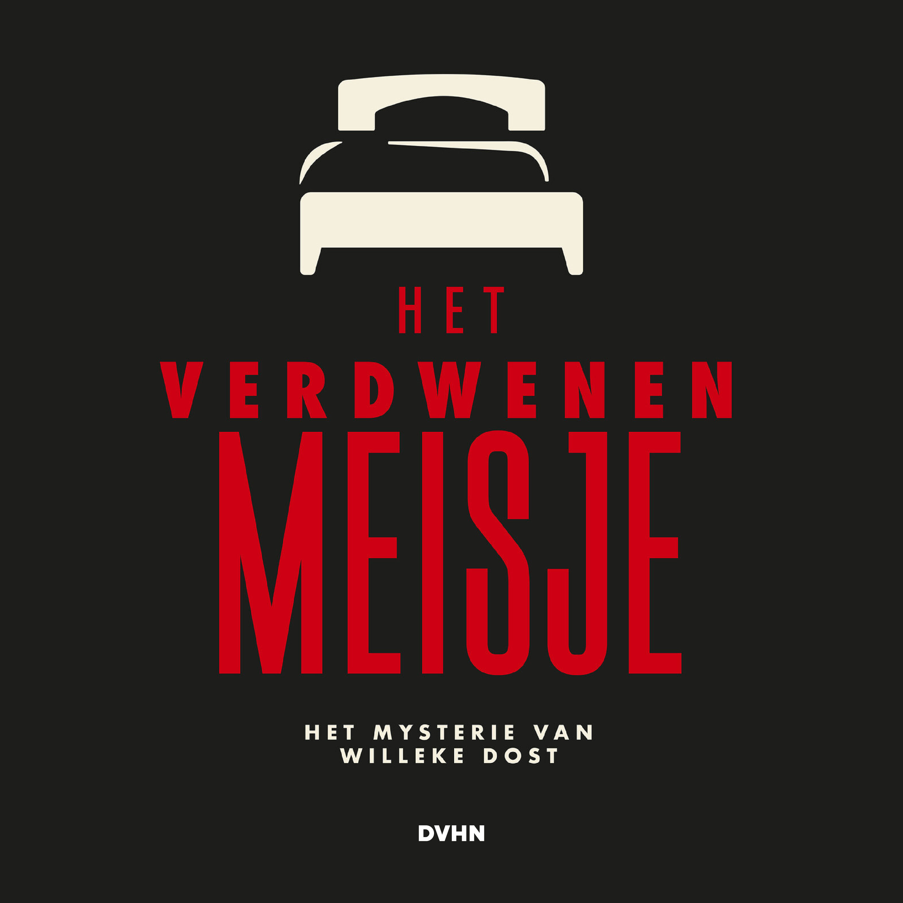 Het verdwenen meisje